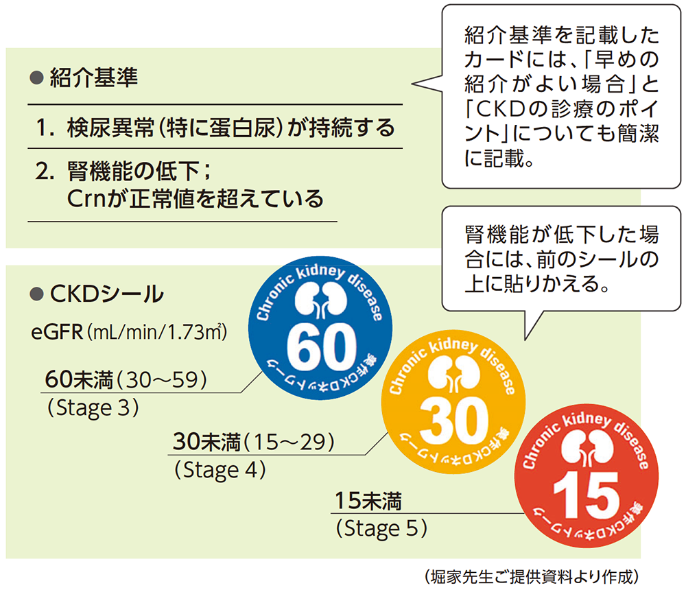 図4：MCKD-NETの主な活動