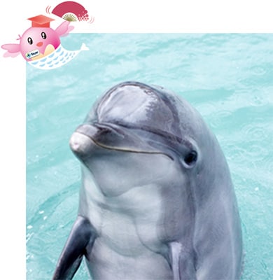 NEP細胞